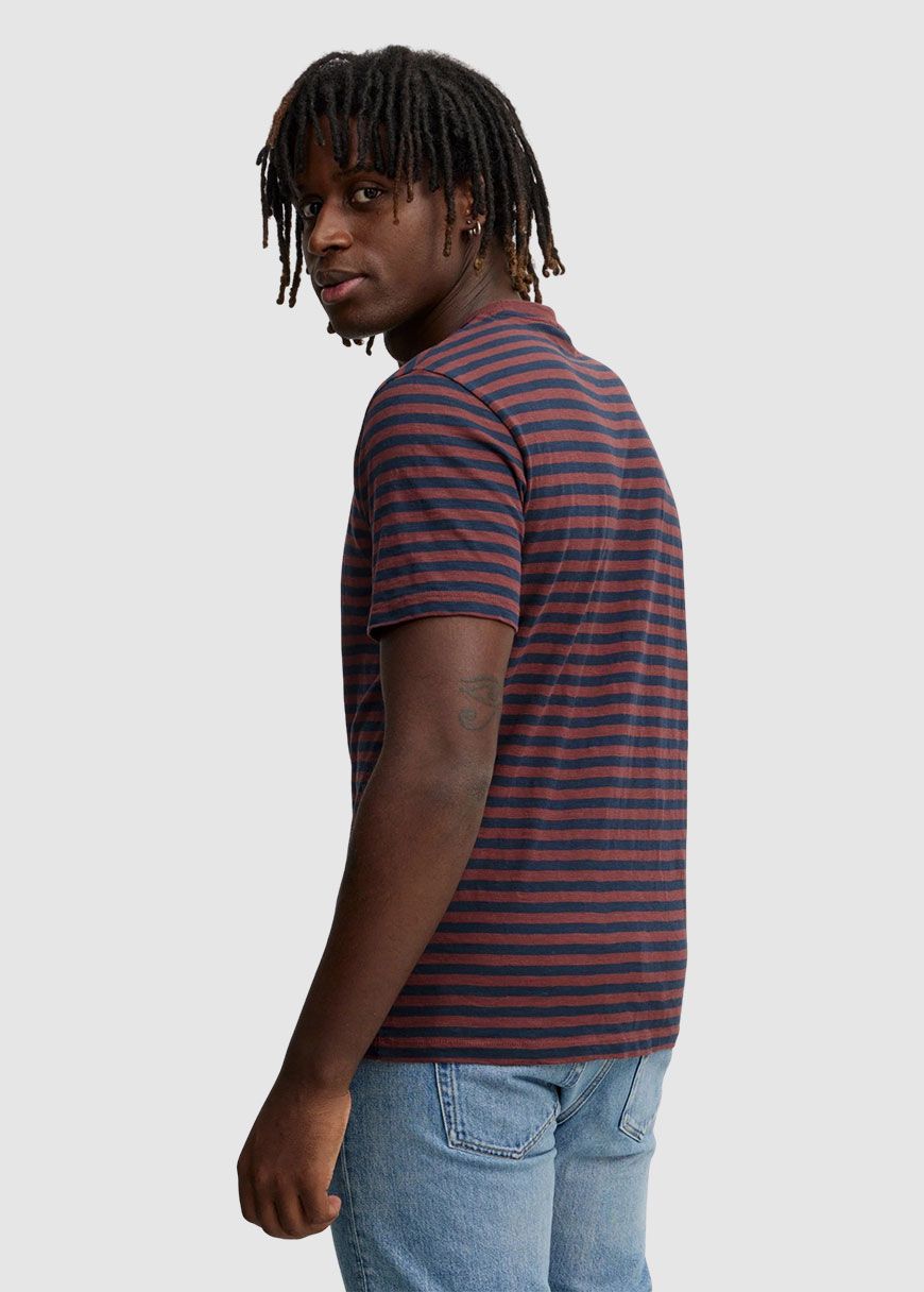 Delonix Stripes
