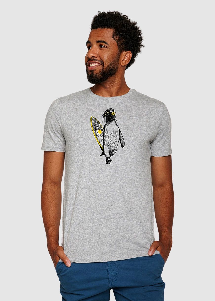 Animal Penguin Summer Guide Animal Penguin Summer Guide