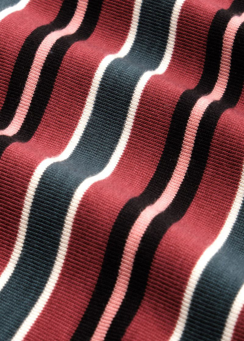 Juno Panel Skirt Nippon Stripe