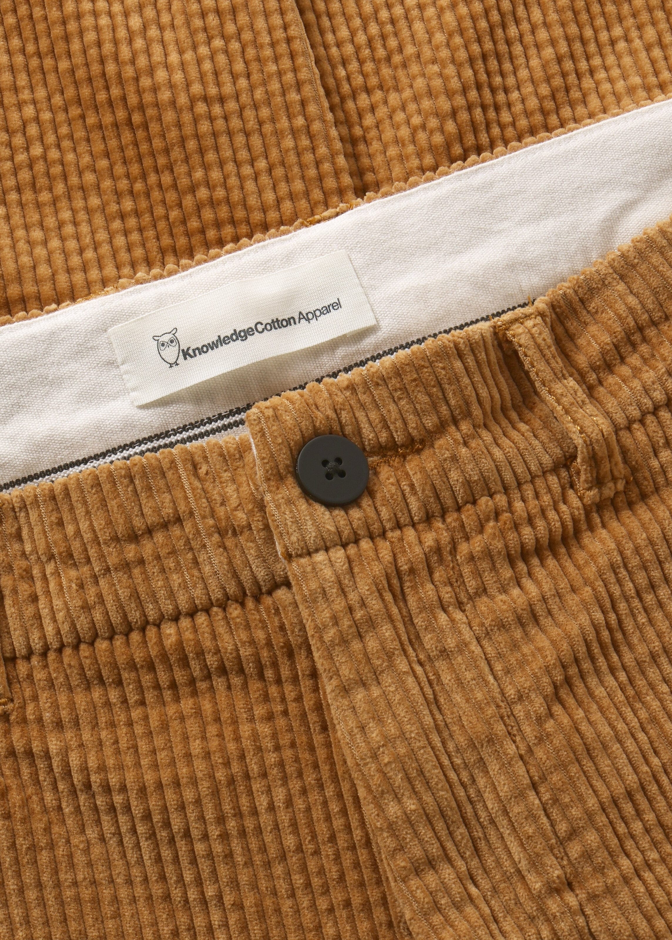 Chuck Regular Corduroy Pants Lion