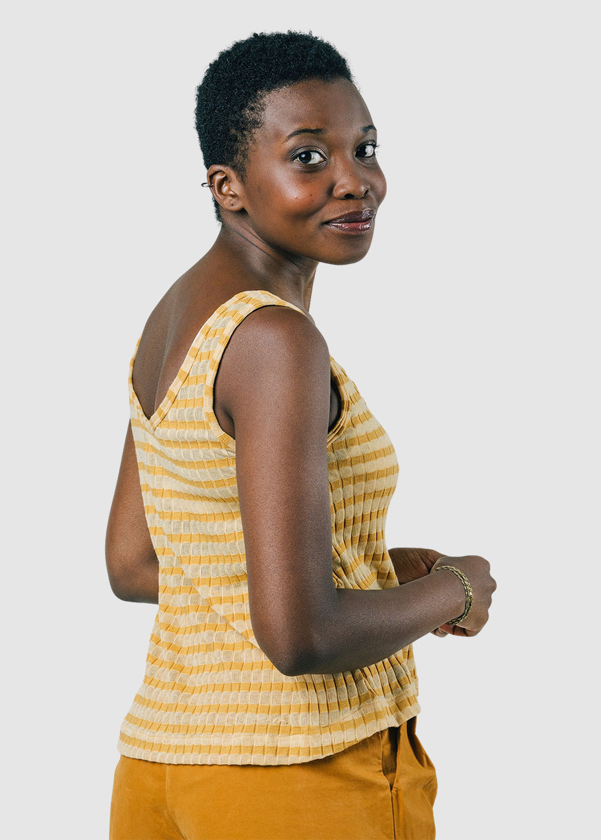 Golden Stripes Golden Stripes