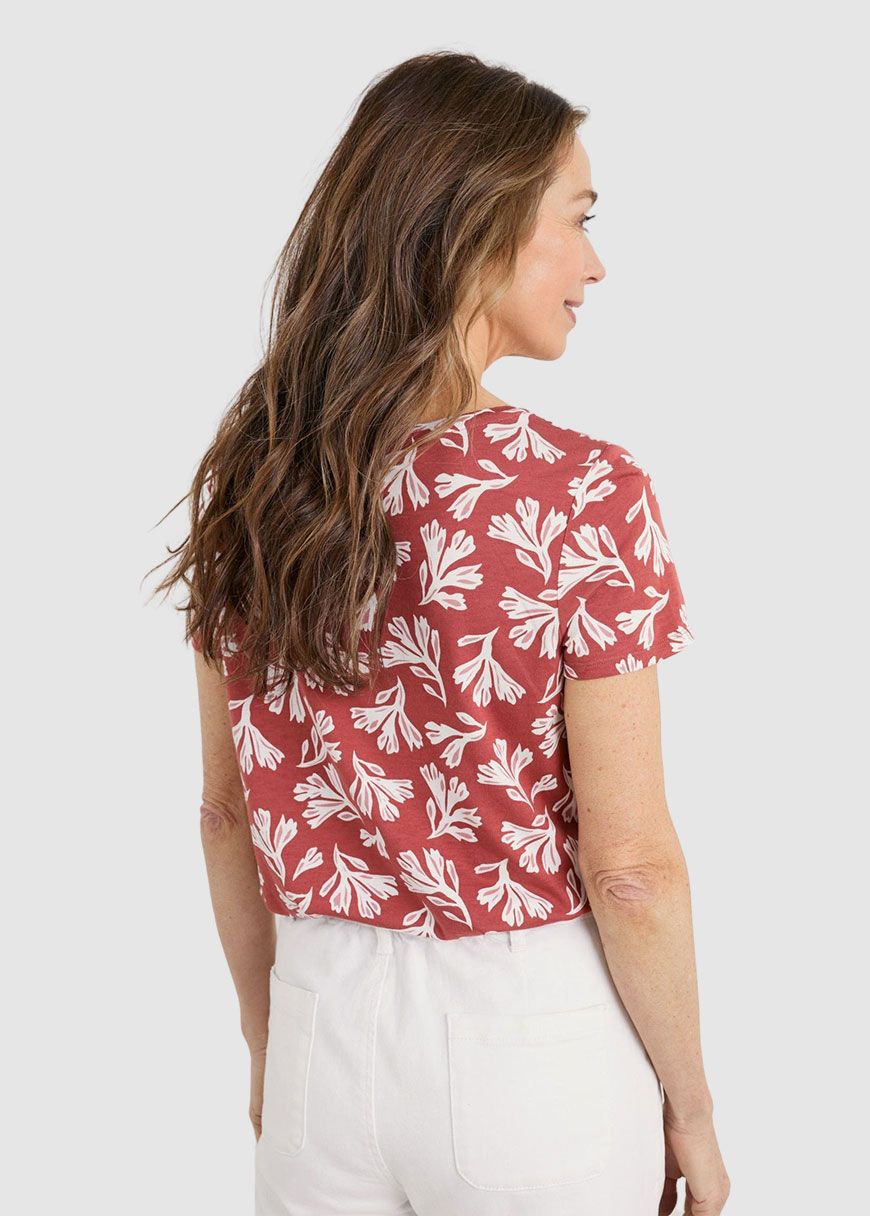 Appletree Top Appletree Top