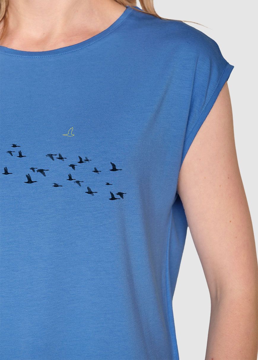 Animal Birds Home Tender Animal Birds Home Tender