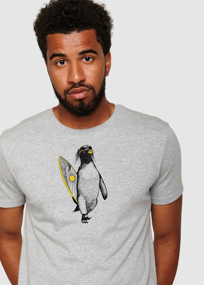Animal Penguin Summer Guide