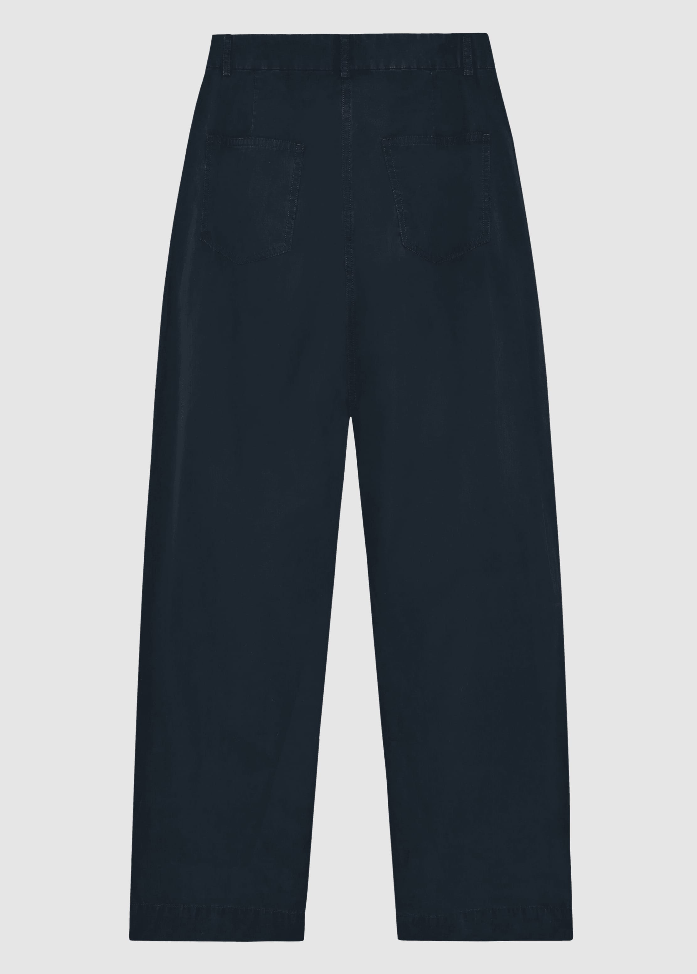 Poplin Pleat Pants Total Eclipse Poplin Pleat Pants Total Eclipse