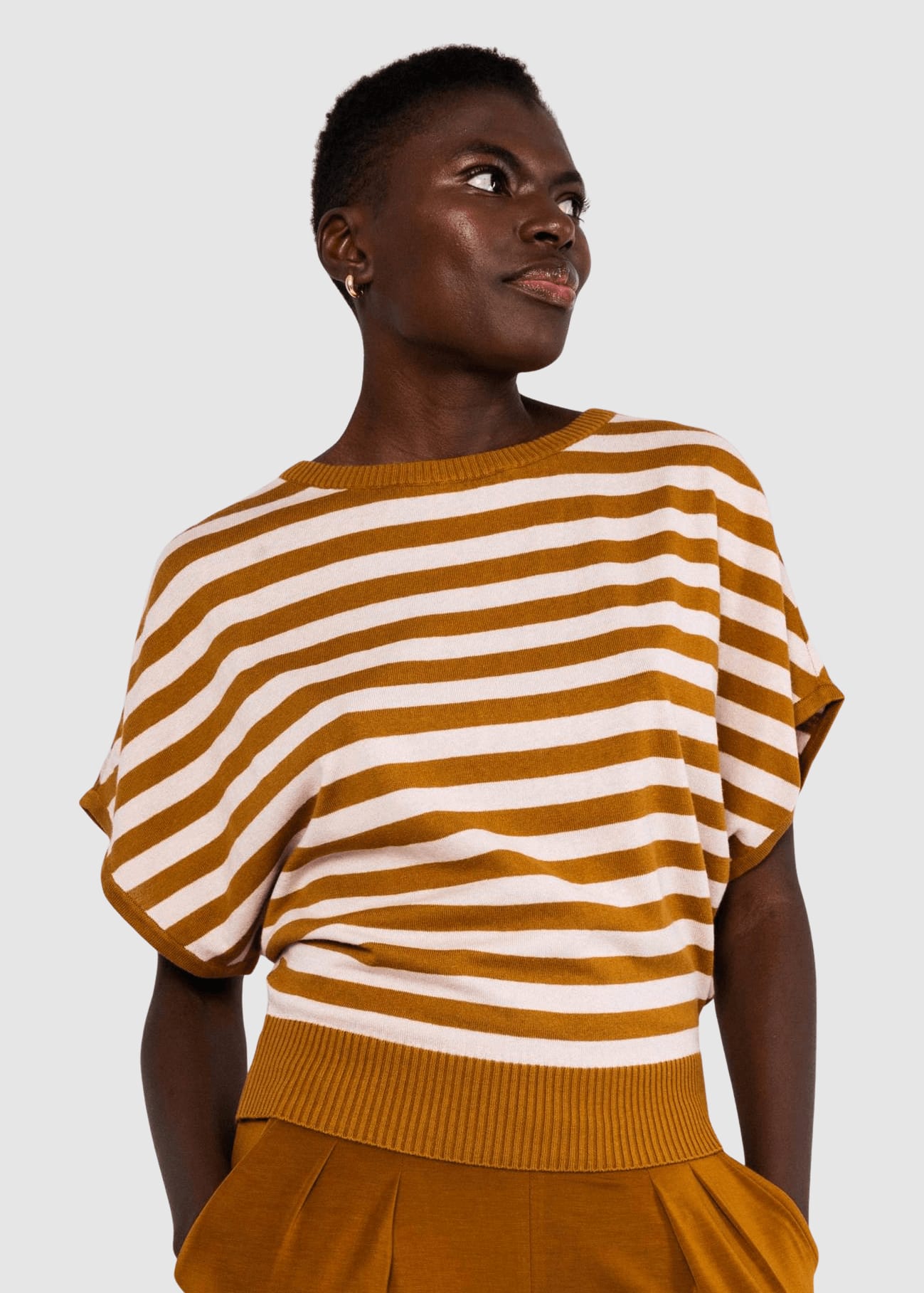 Picnic Friend Chic Knit Stripe Brown