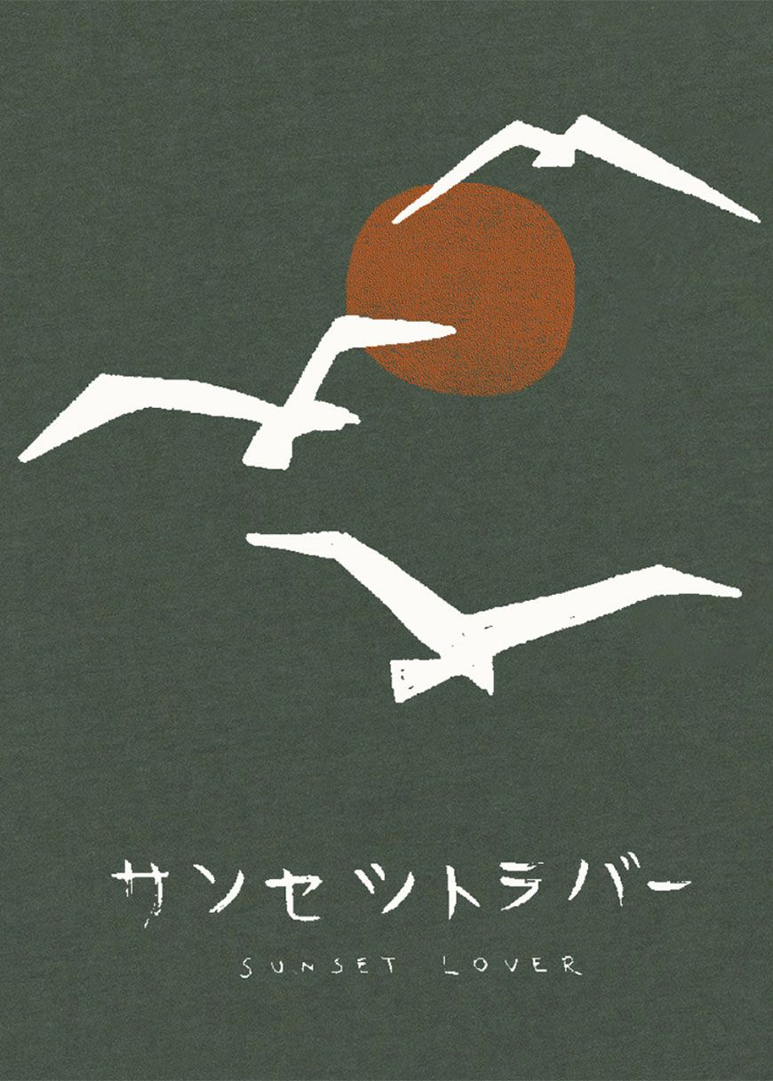 Sunset Birds Sunset Birds