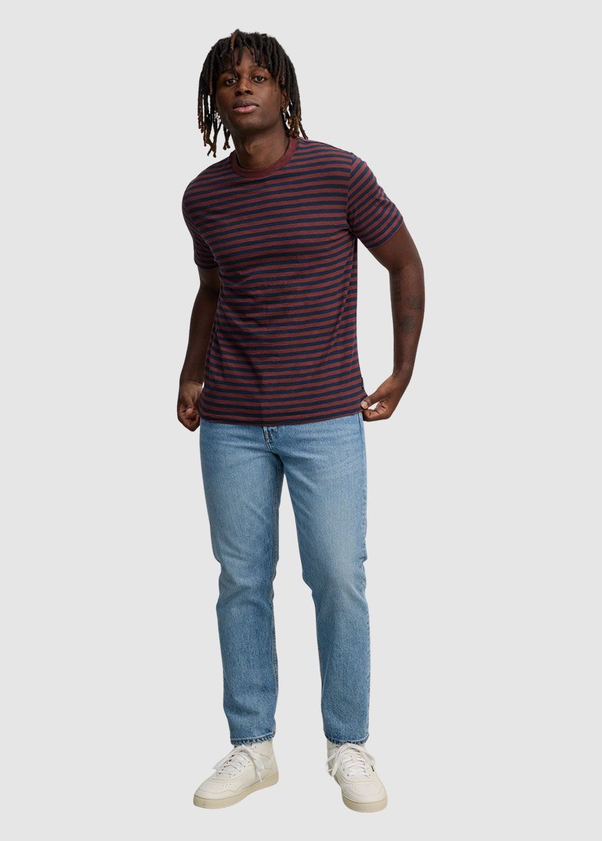 Delonix Stripes