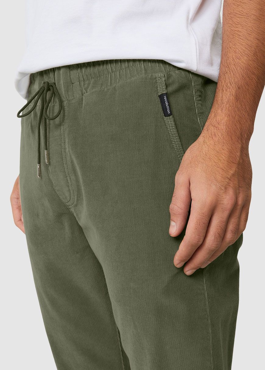 Jog Chino Cyperus Jog Chino Cyperus