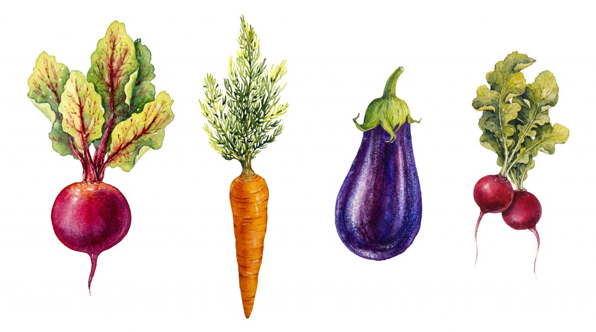Kraut Und Rüben – Teil 1: Die Optimale Gemüsebeetplanung