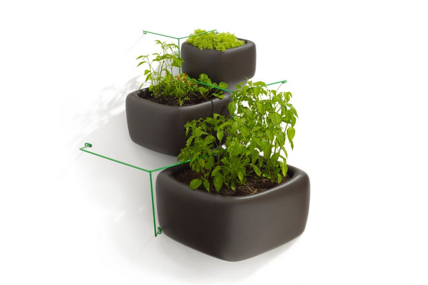 Vertical Farming: Die Steigerung Von Urban Gardening