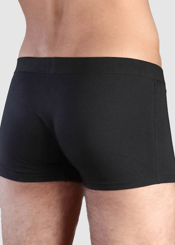 Trunk Shorts