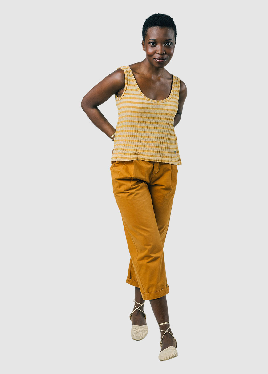 Golden Stripes Golden Stripes