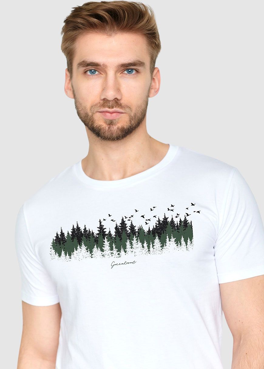 Nature Birds Forest Guide Nature Birds Forest Guide