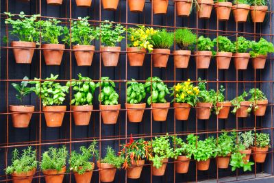 Do It Yourself: Hängender Kräutergarten